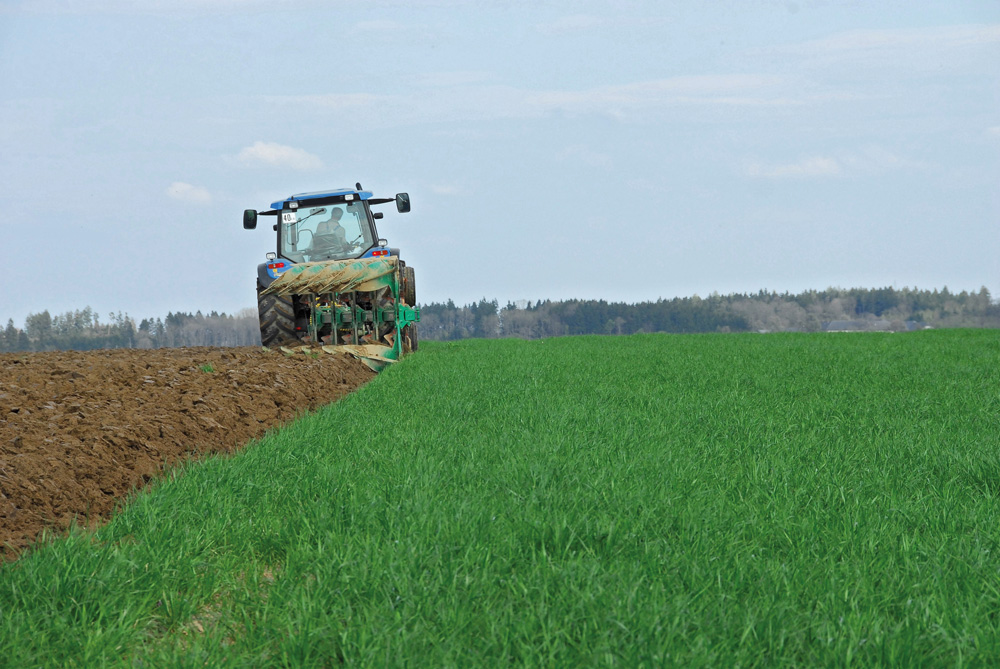 Grünlandumbruchrechte | Landwirtschaftlicher Buchführungsverband